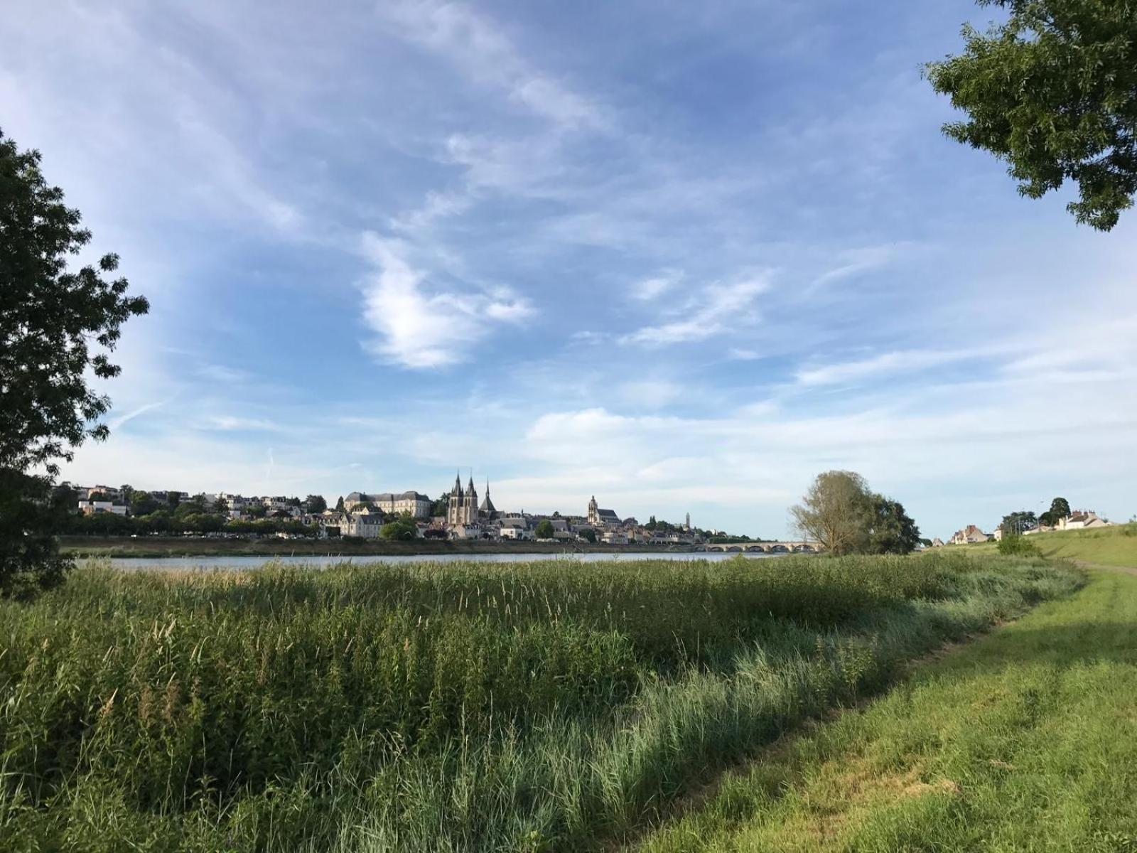 Ferienwohnung Quai De La Loire Blois Exterior foto